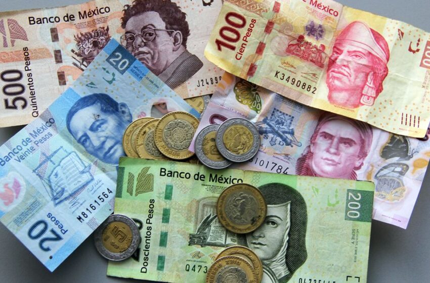  En México, la probabilidad de que una empresa quiebre por el aumento al salario mínimo es muy baja: presidente de Conasami