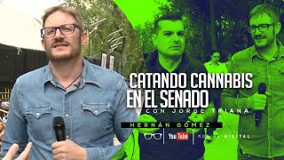 Visita al campamento cannábico con Jorge Triana