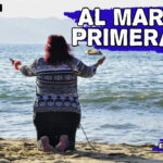 colibrí final